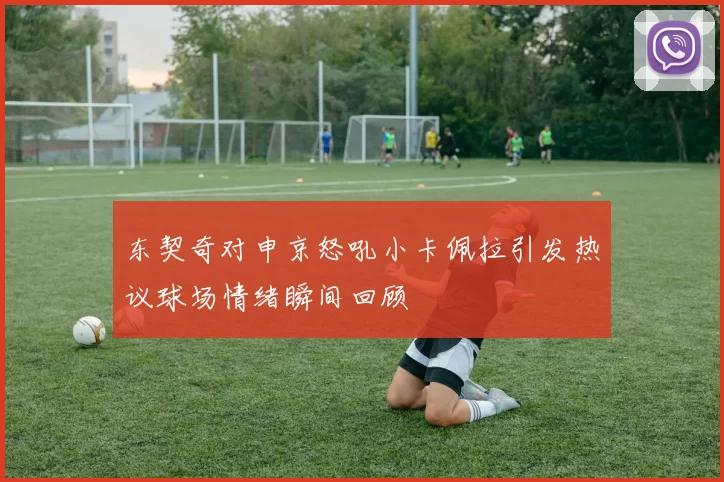 东契奇对申京怒吼小卡佩拉引发热议球场情绪瞬间回顾
